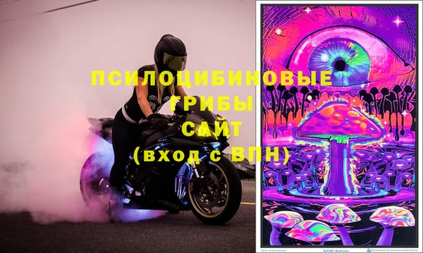эйфоретик Абинск