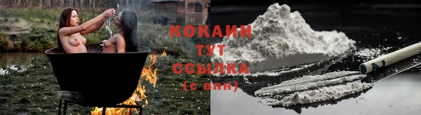 шишки Рославль