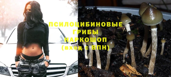 шишки Рославль